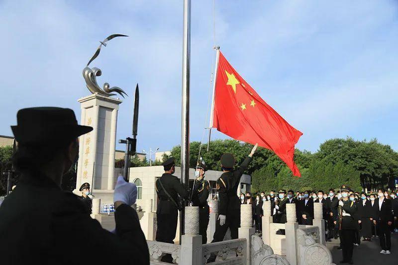 拯救机灵鸟